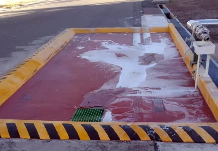 Profertil y la Adaptación a Nuevos Procesos Químicos con Pexgol.